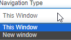 Navigation Type Navigation Type